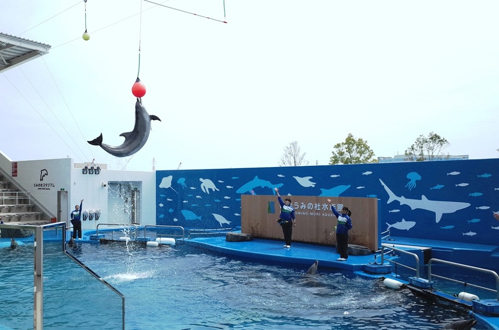 仙台うみの杜水族館のイルカショーなど！イベント情報まとめ