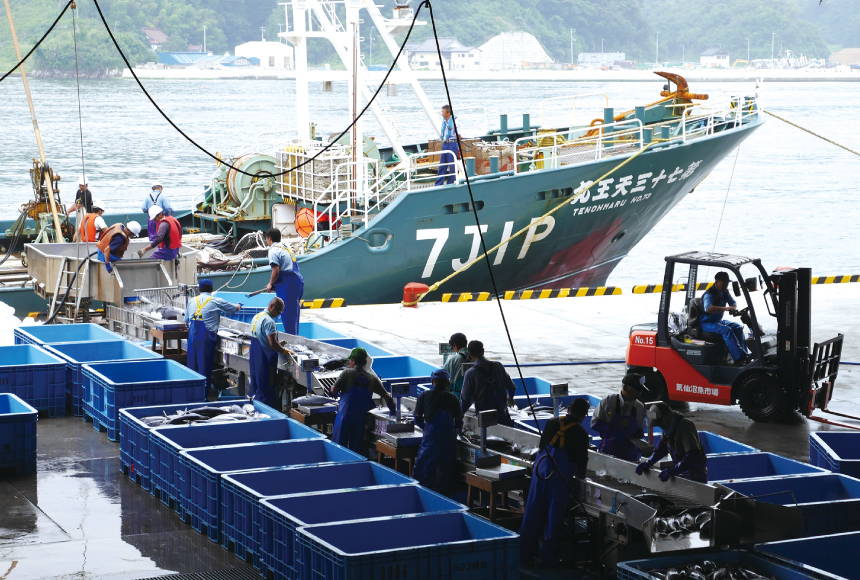 【人気観光地】｢気仙沼市魚市場｣で新鮮な海の幸を見る！食べる！