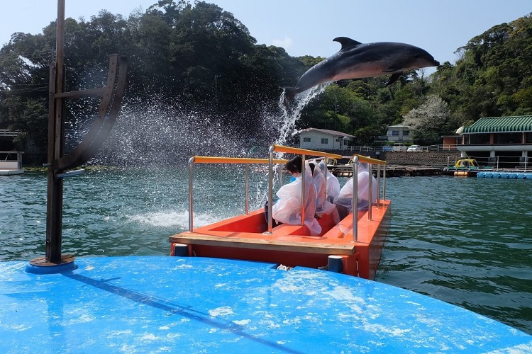 下田海中水族館