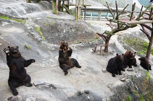 のぼりべつクマ牧場 - 詳細