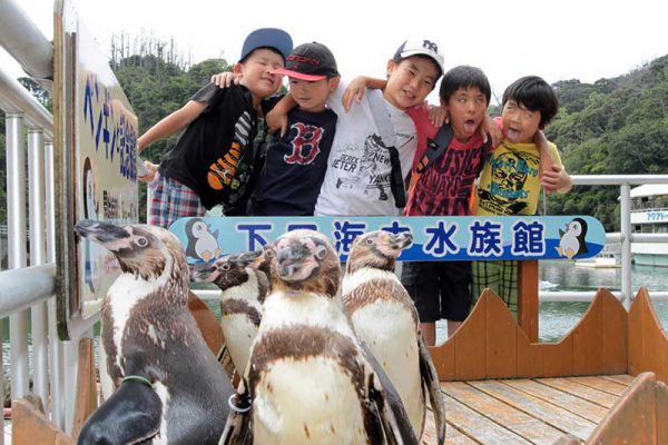 下田海中水族館-ペンギンと記念撮影