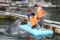 下田海中水族館-ファミリードルフィン