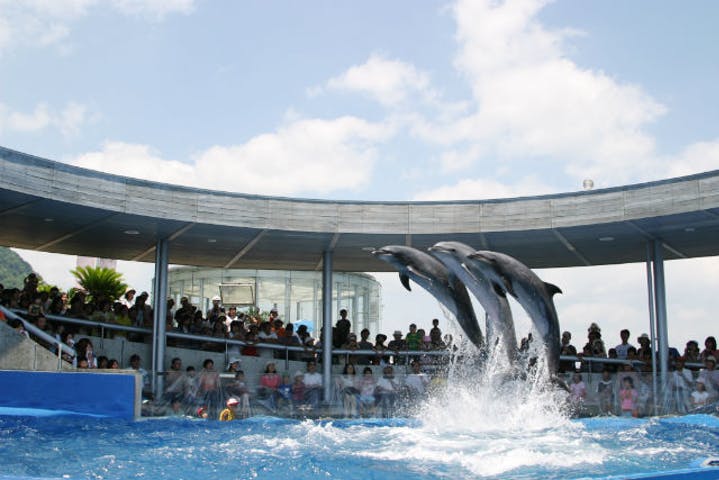 うみたまご（大分マリーンパレス水族館）の割引チケット・入場料金・クーポン・前売り券情報