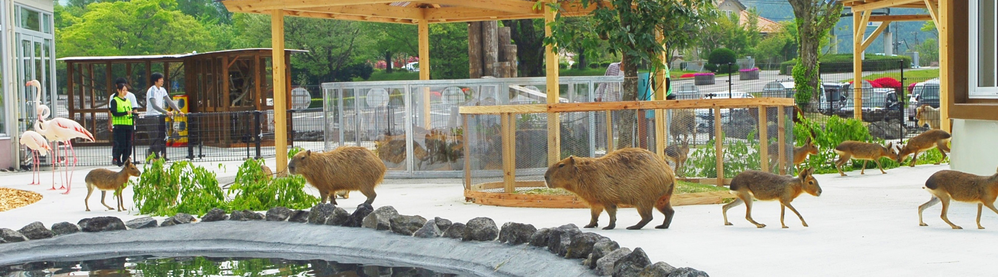 ふれあい動物王国