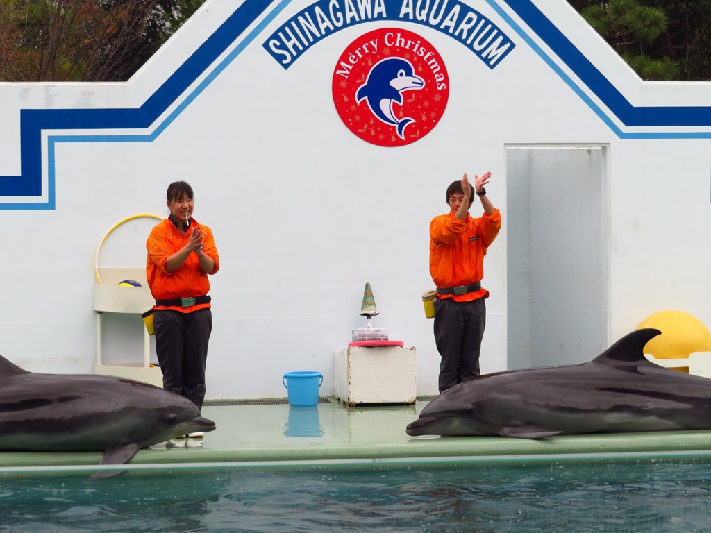 しながわ水族館