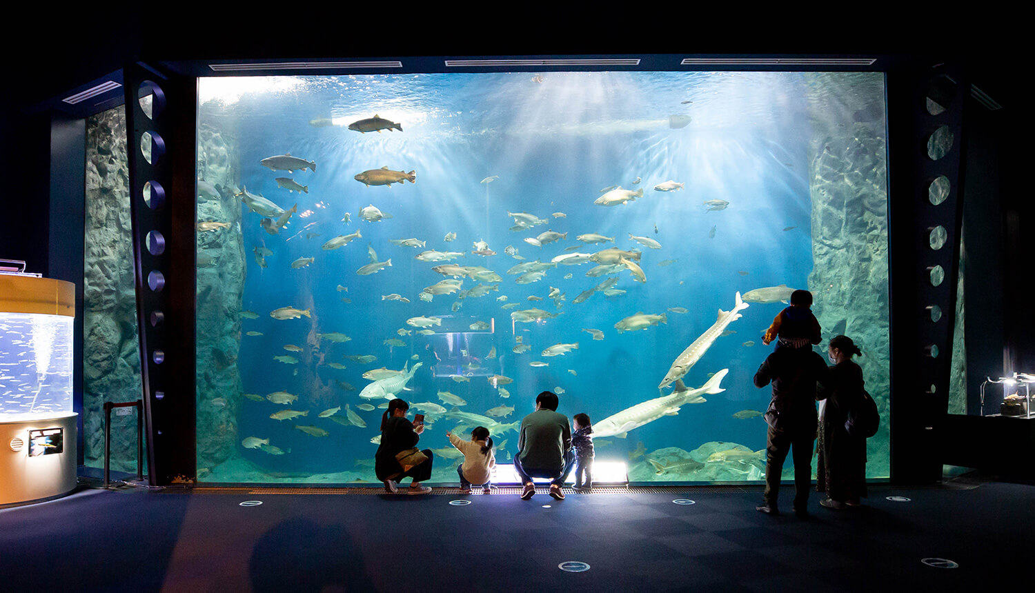 サケのふるさと 千歳水族館