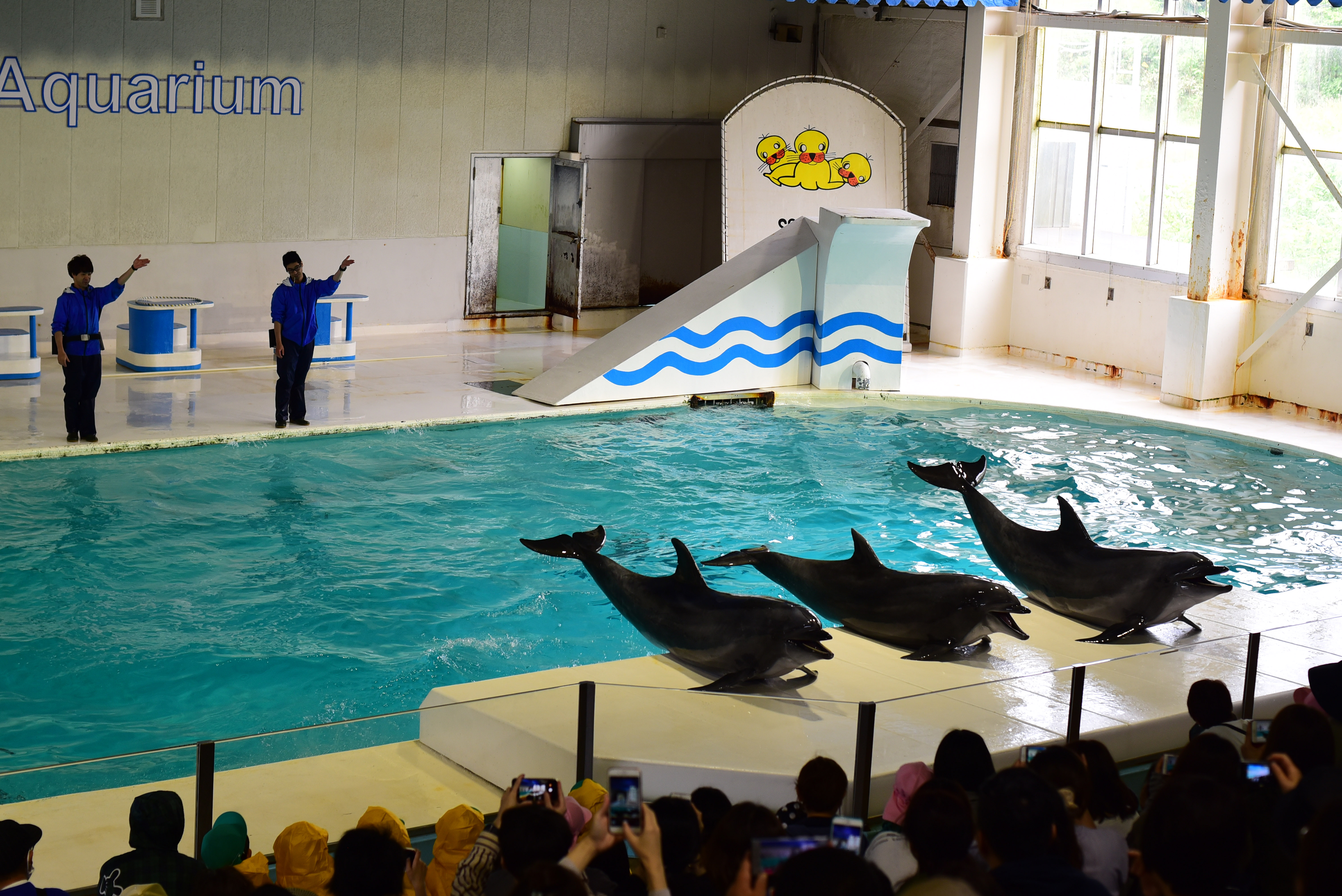 おたる水族館