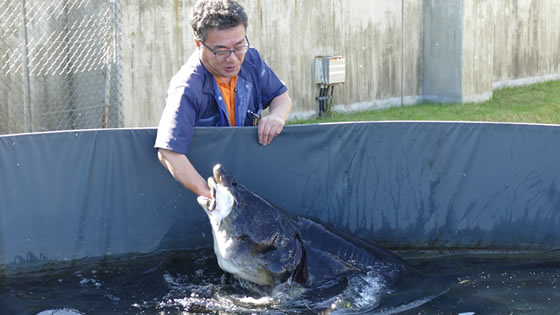 標津サーモン科学館