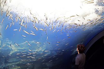 北の大地の水族館