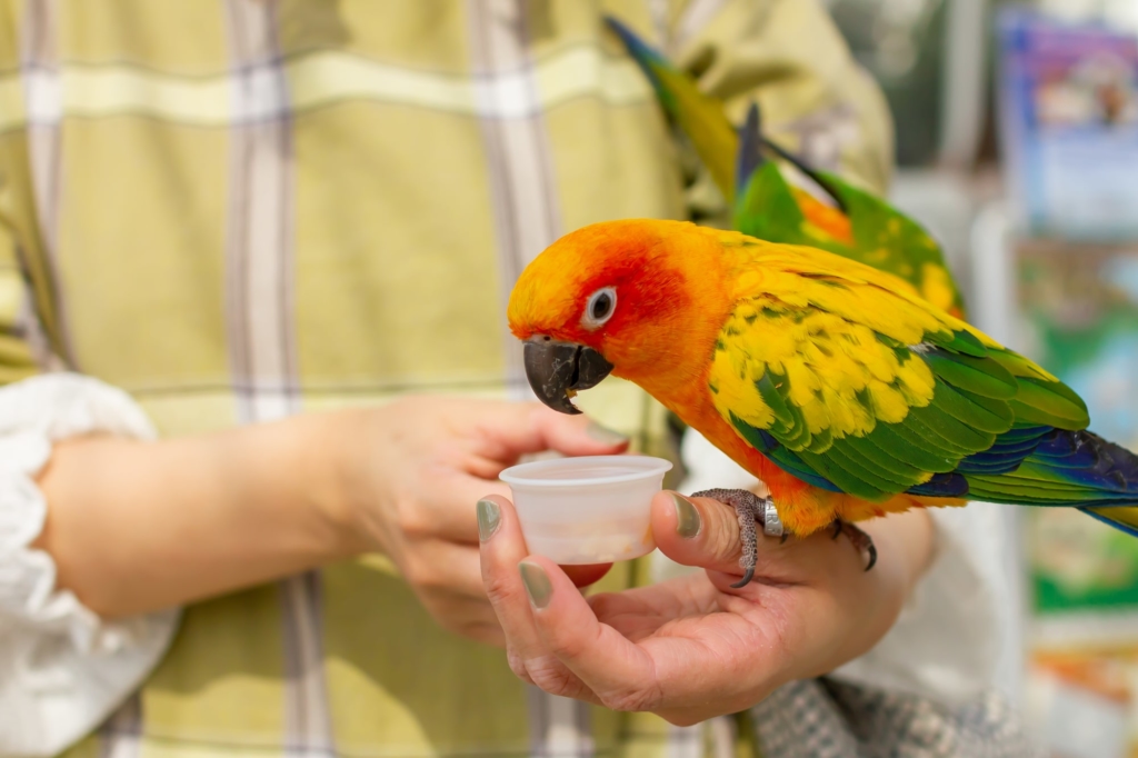 【割引まとめ】掛川花鳥園の入場料金・割引チケット・クーポン・前売り券情報