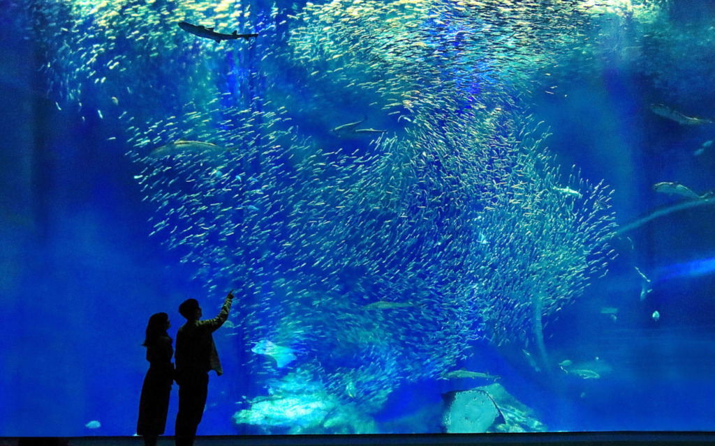 大洗水族館