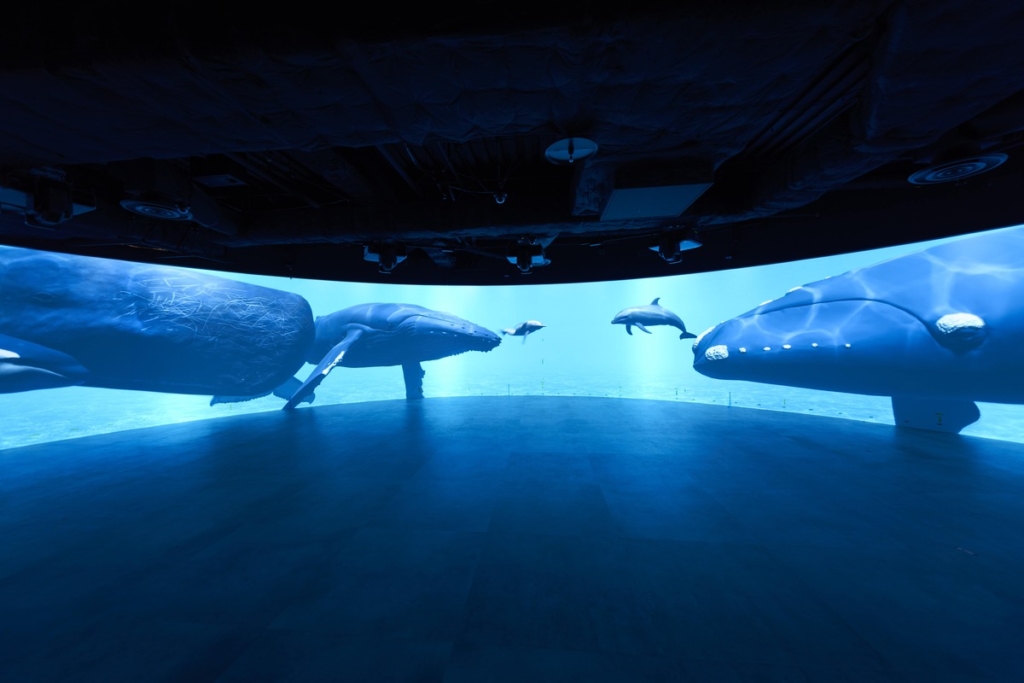 カワスイ 川崎水族館