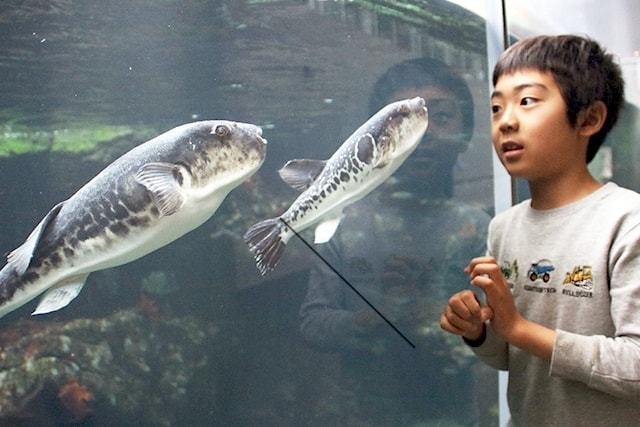 大洗水族館