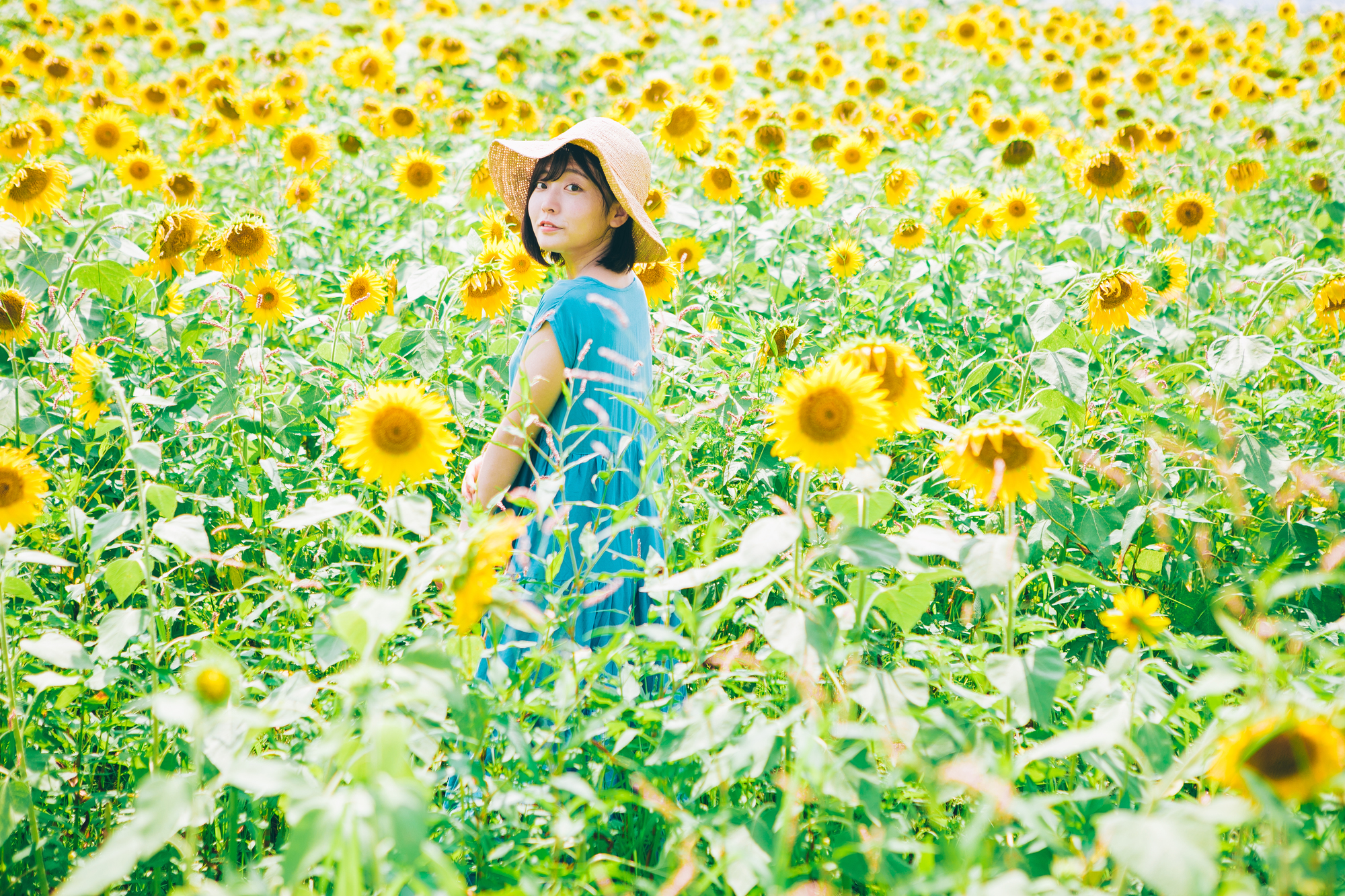 2022年関東｜ひまわり畑おすすめ6選。インスタ撮るならここ！圧巻の絶景